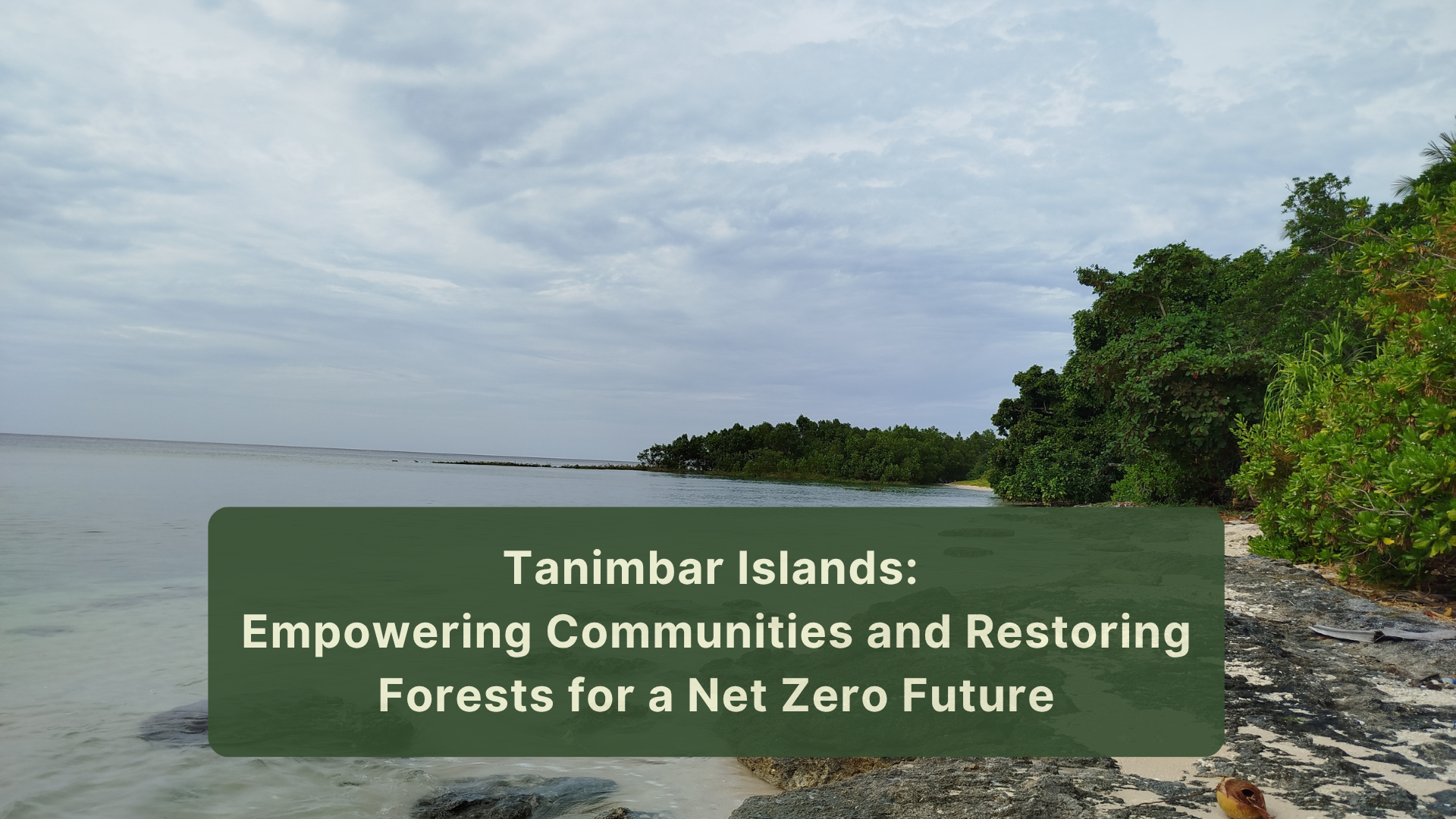 Tanimbar Islands: Empowering Communities and Restoring Forests for a Net Zero Future