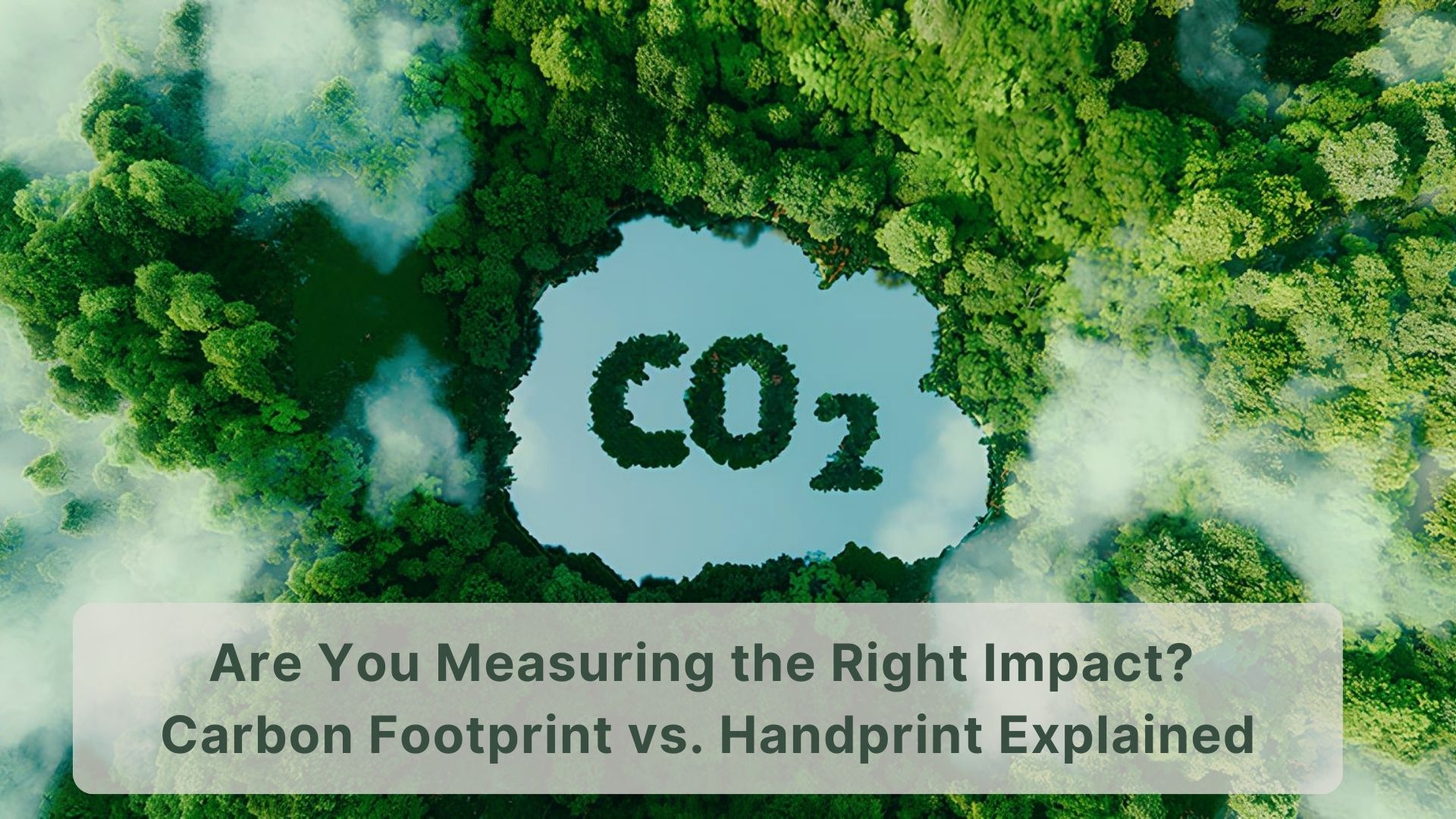 Carbon Footprint & Carbon Handprint
