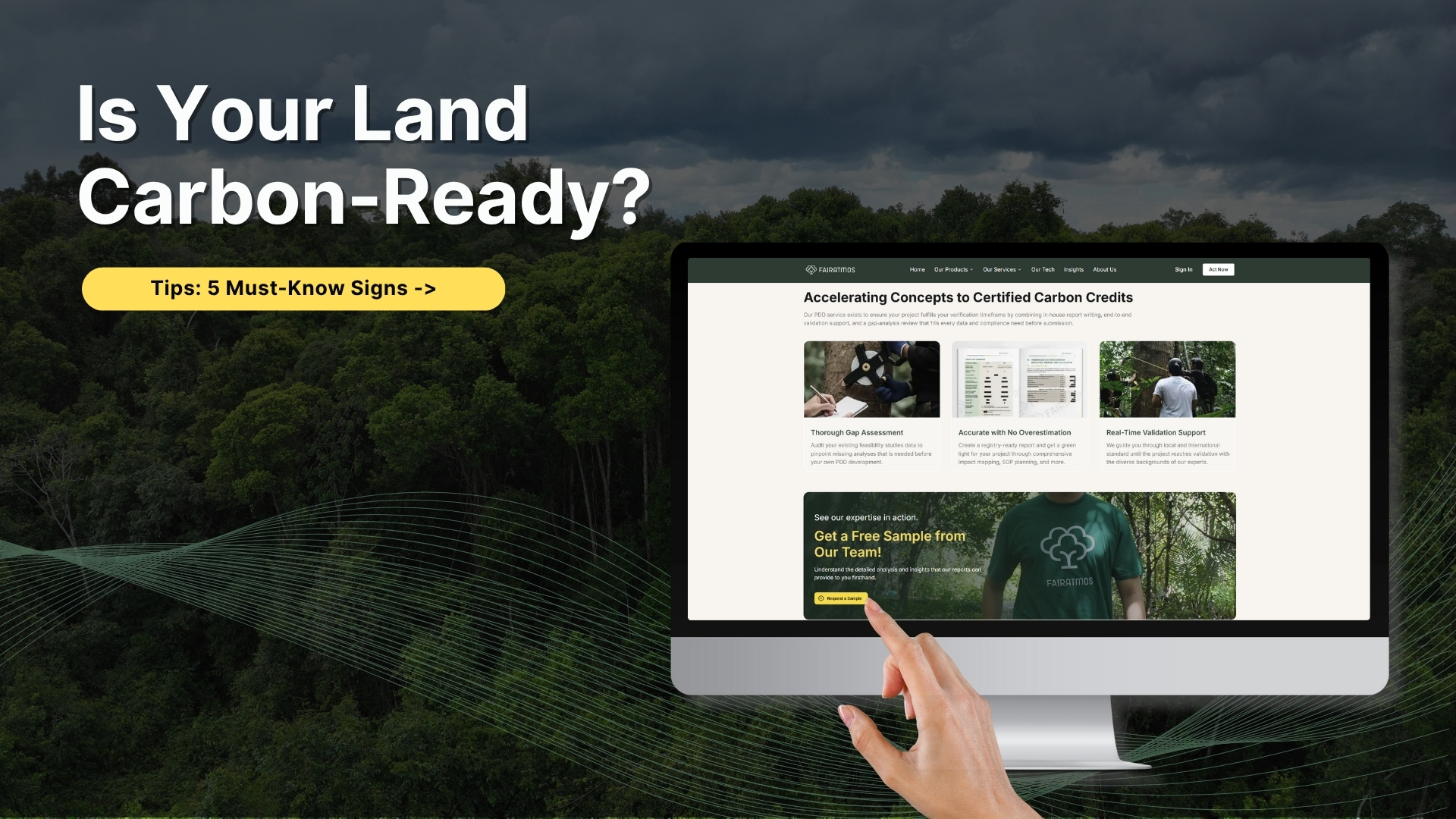 5 Signs Your Forest Is Ready for a Carbon Project