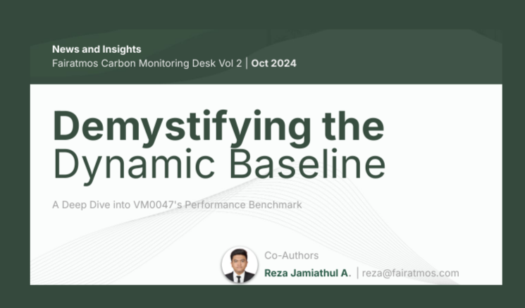 Demystifying the Dynamic Baseline