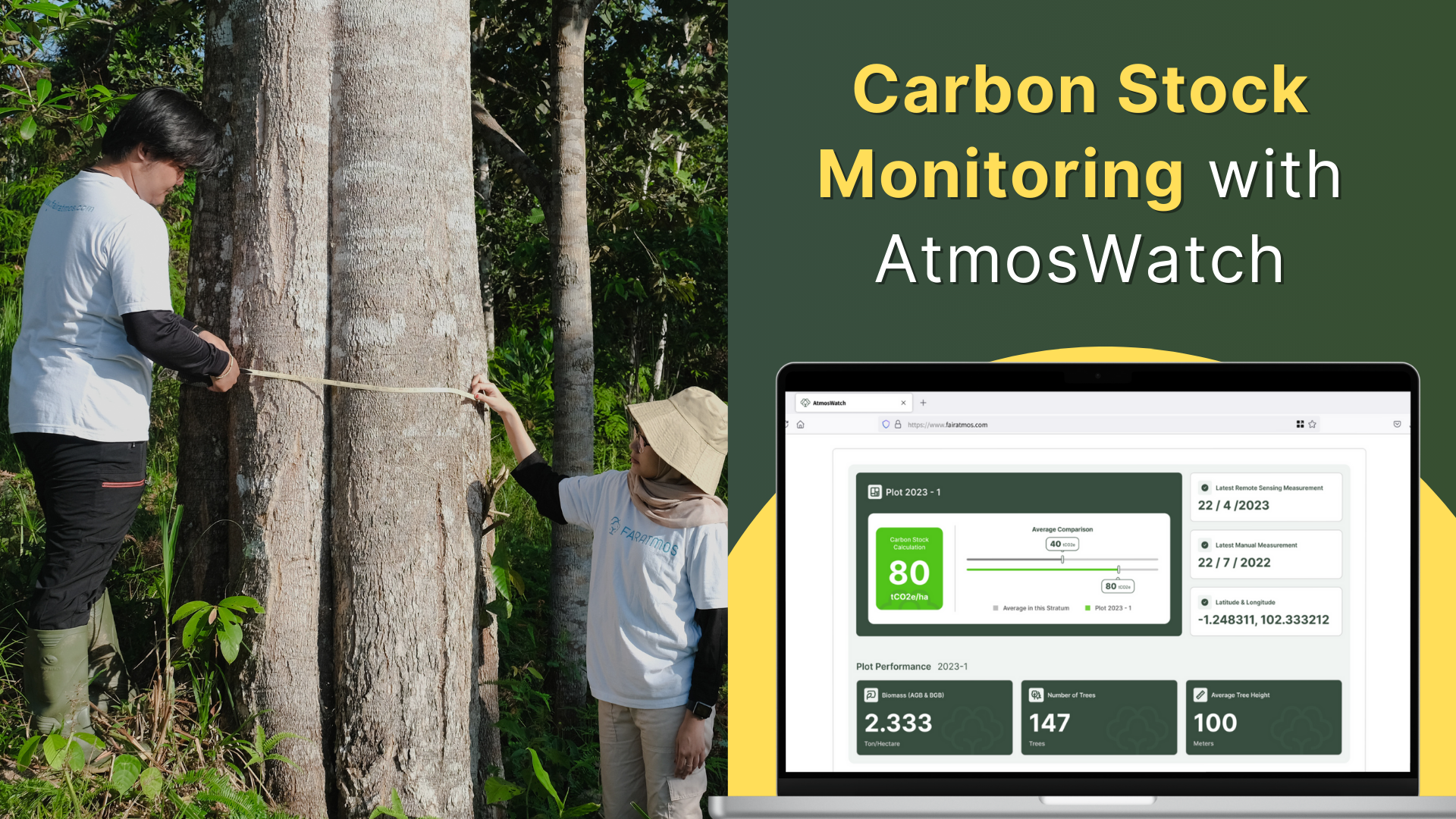 Dari Lapangan ke Dashboard: Mengoptimalkan Carbon Stock Tracking