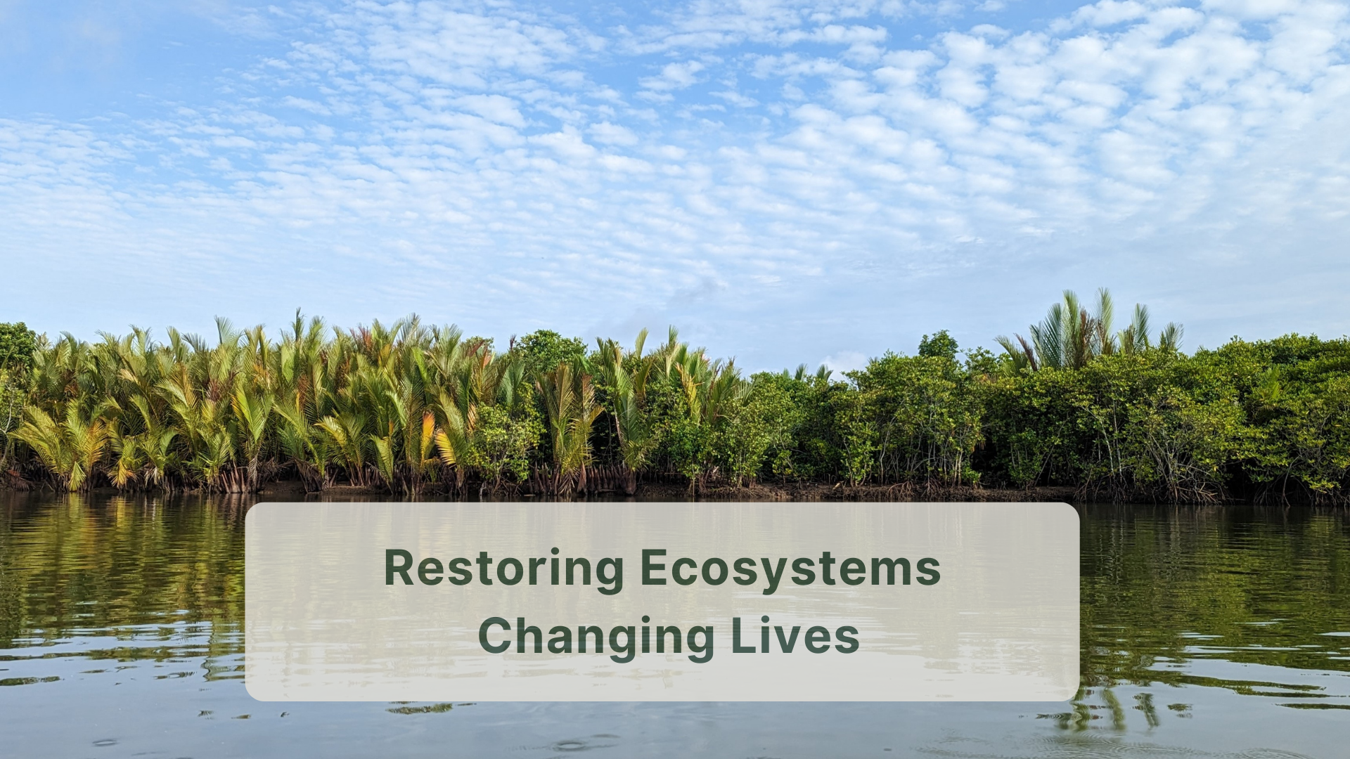 Restoring Ecosystems, Changing Lives