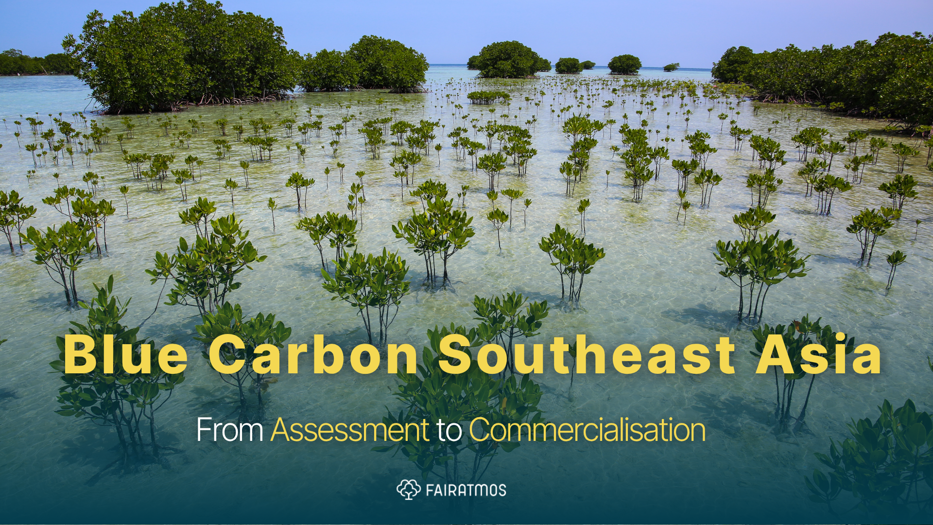 Blue Carbon Southeast Asia: From Assessment to Commercialisation