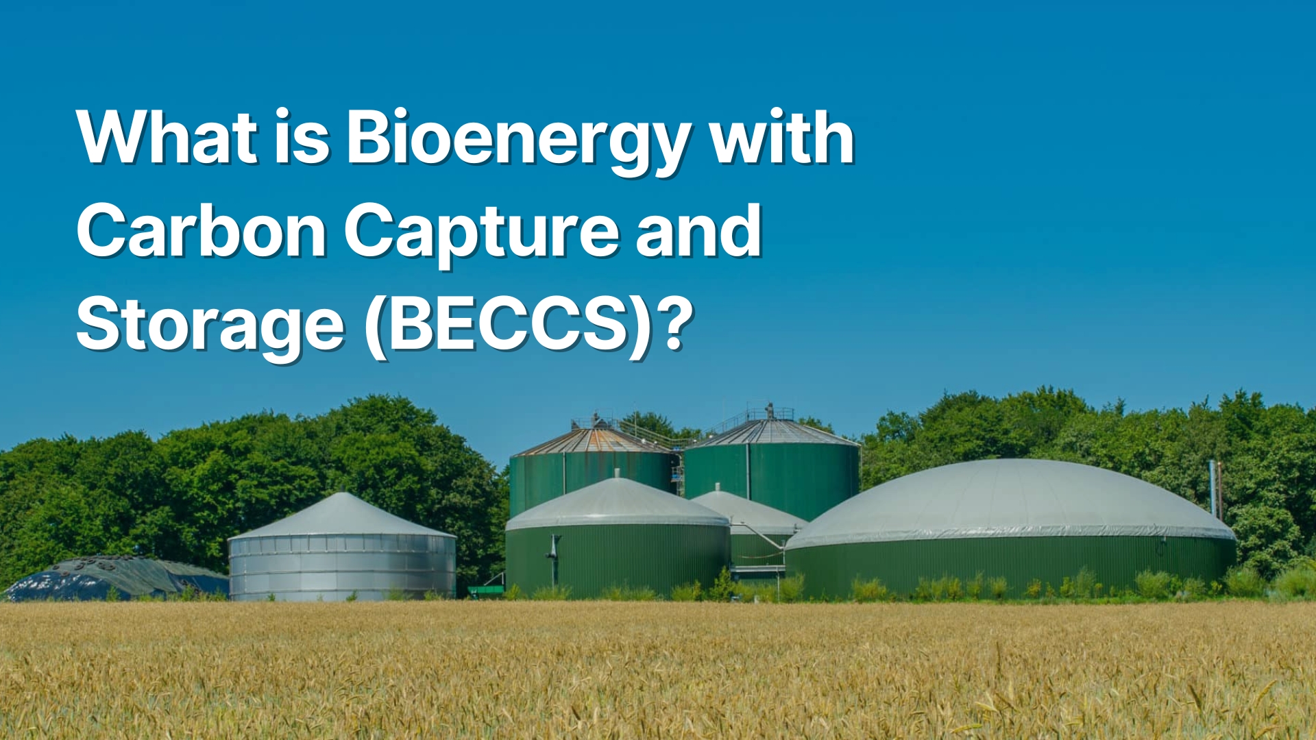 Understanding BECCS: Benefits, Challenges, and Carbon Credit Potential