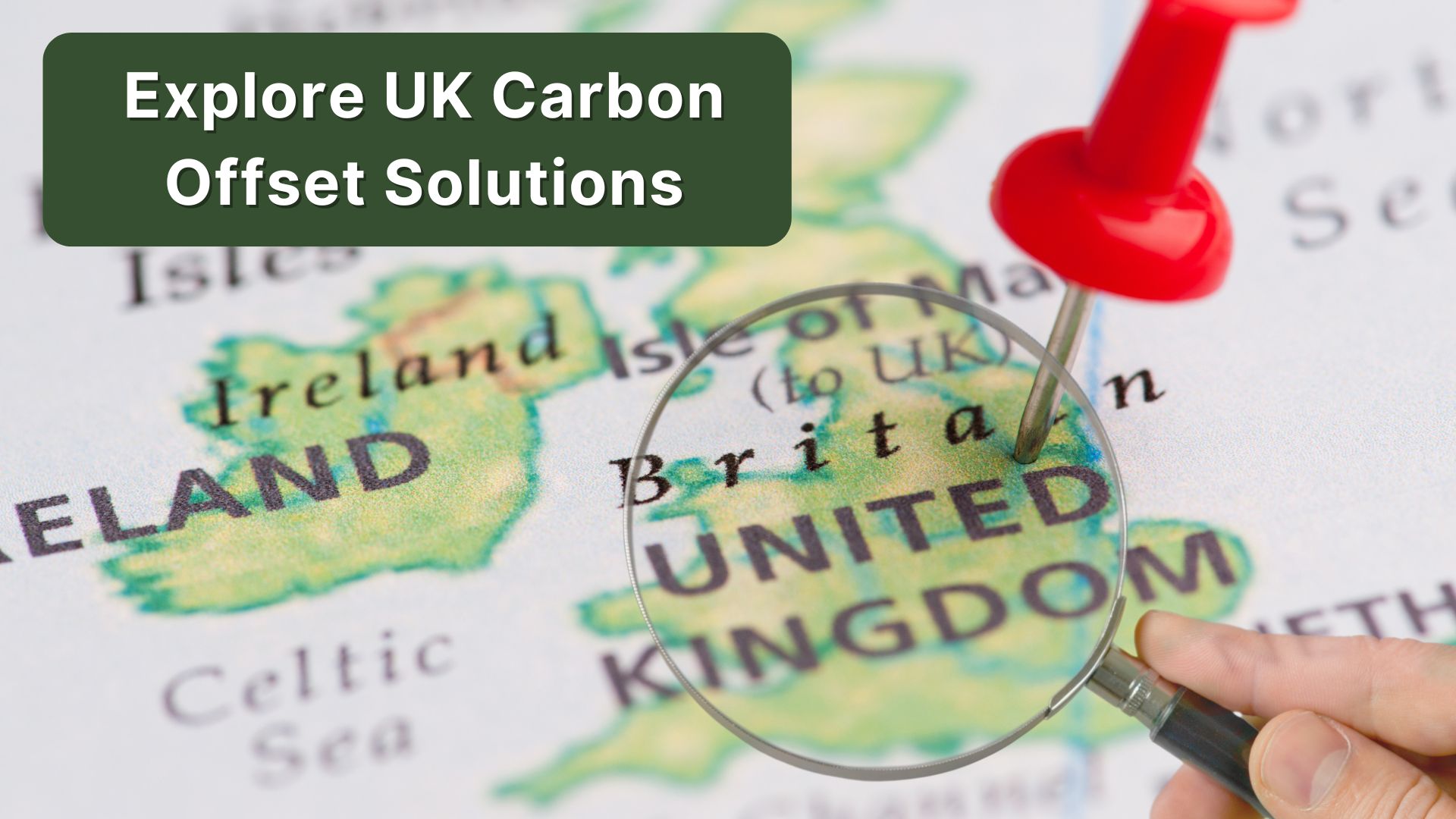 UK Carbon Offsetting: What You Need to Know