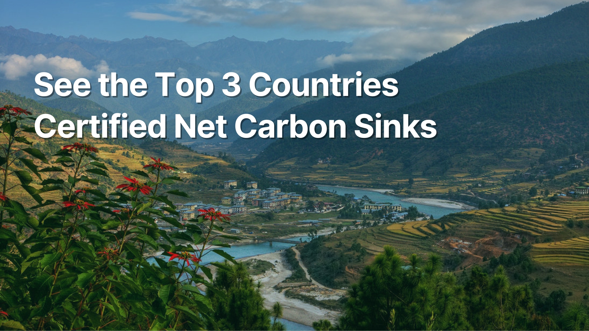 3 Countries That Are Certified Net Carbon Sinks