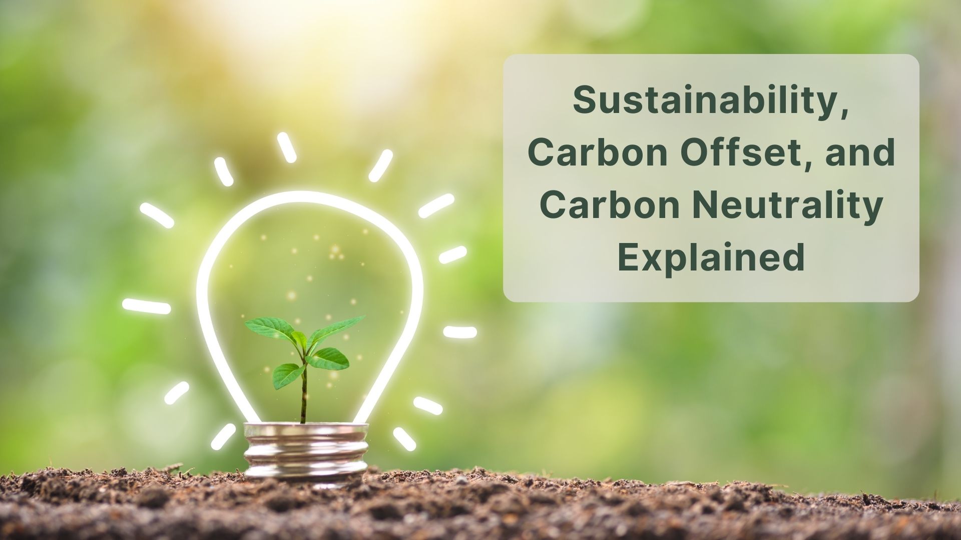 Get to Know: Sustainability, Carbon Offset, and Carbon Neutrality