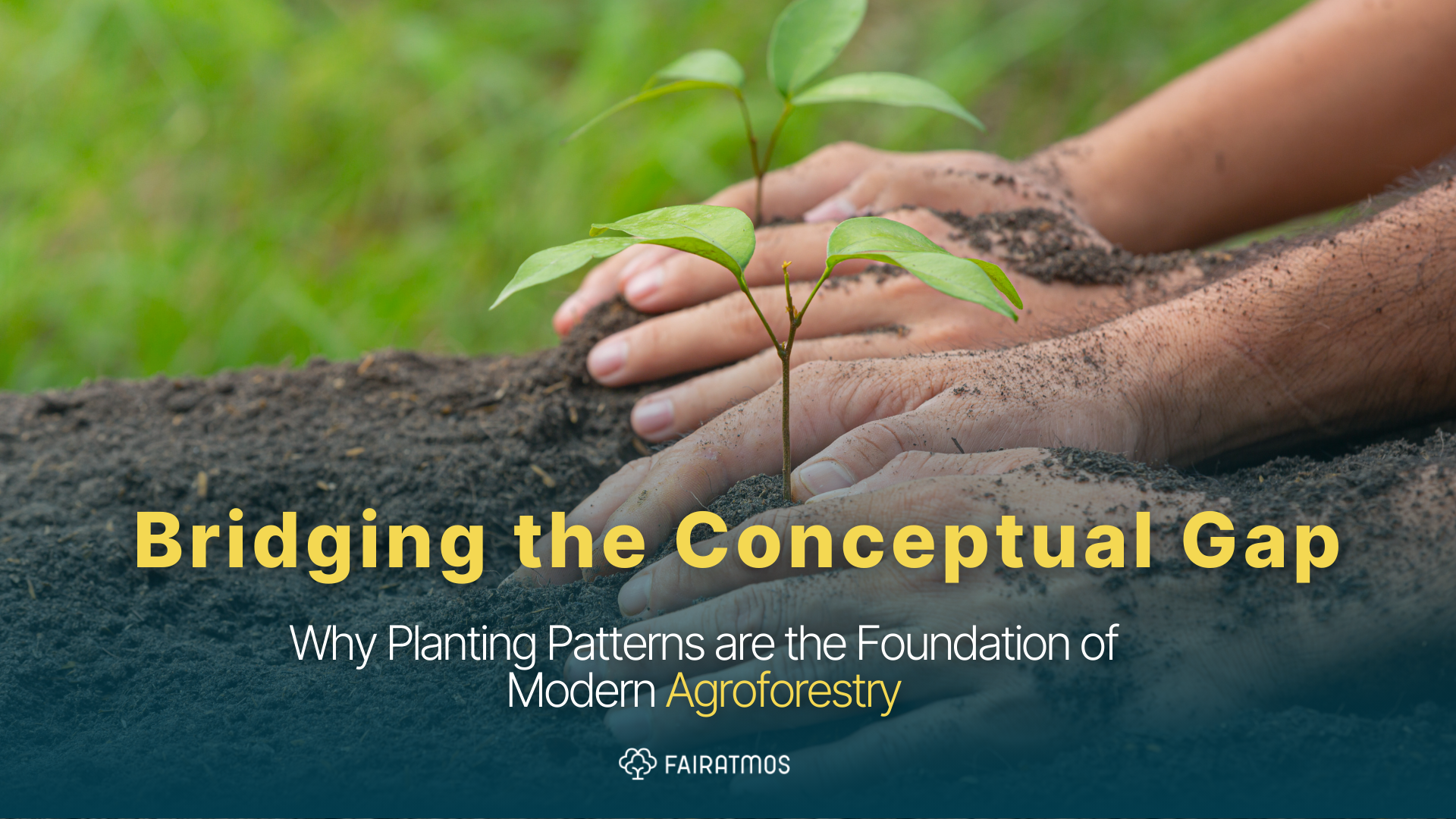 Bridging the Conceptual Gap: Why Planting Patterns are the Foundation of Modern Agroforestry