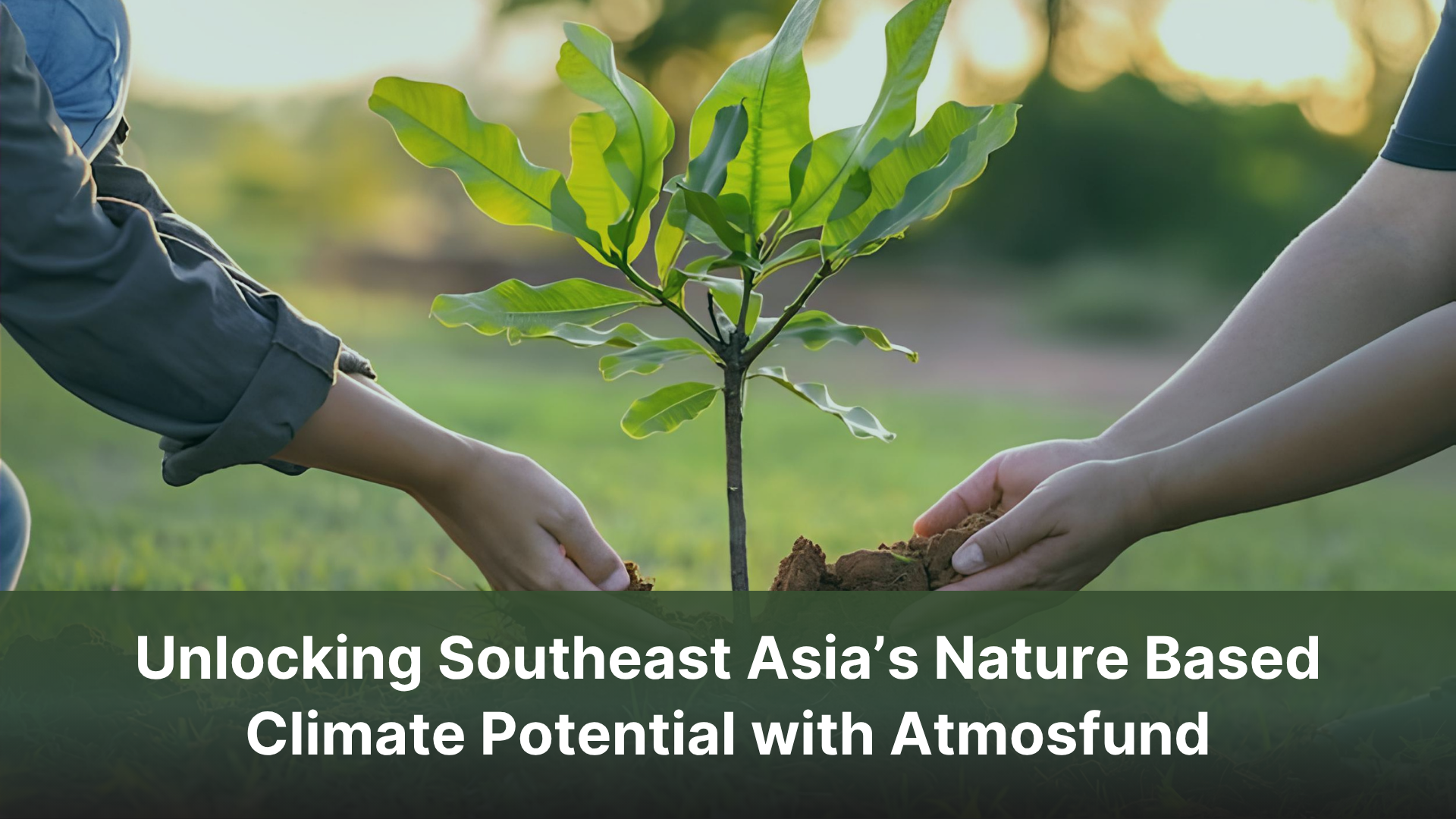 Unlocking Southeast Asia’s Nature Based Climate Potential