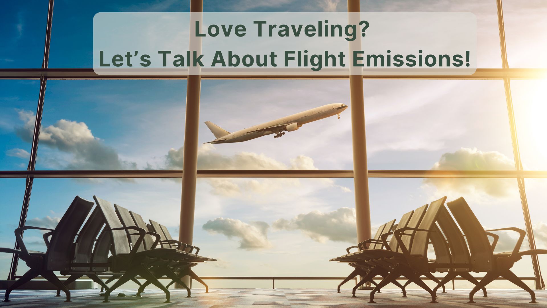 Flight Carbon Offsetting Explained: What It Is & How It Works
