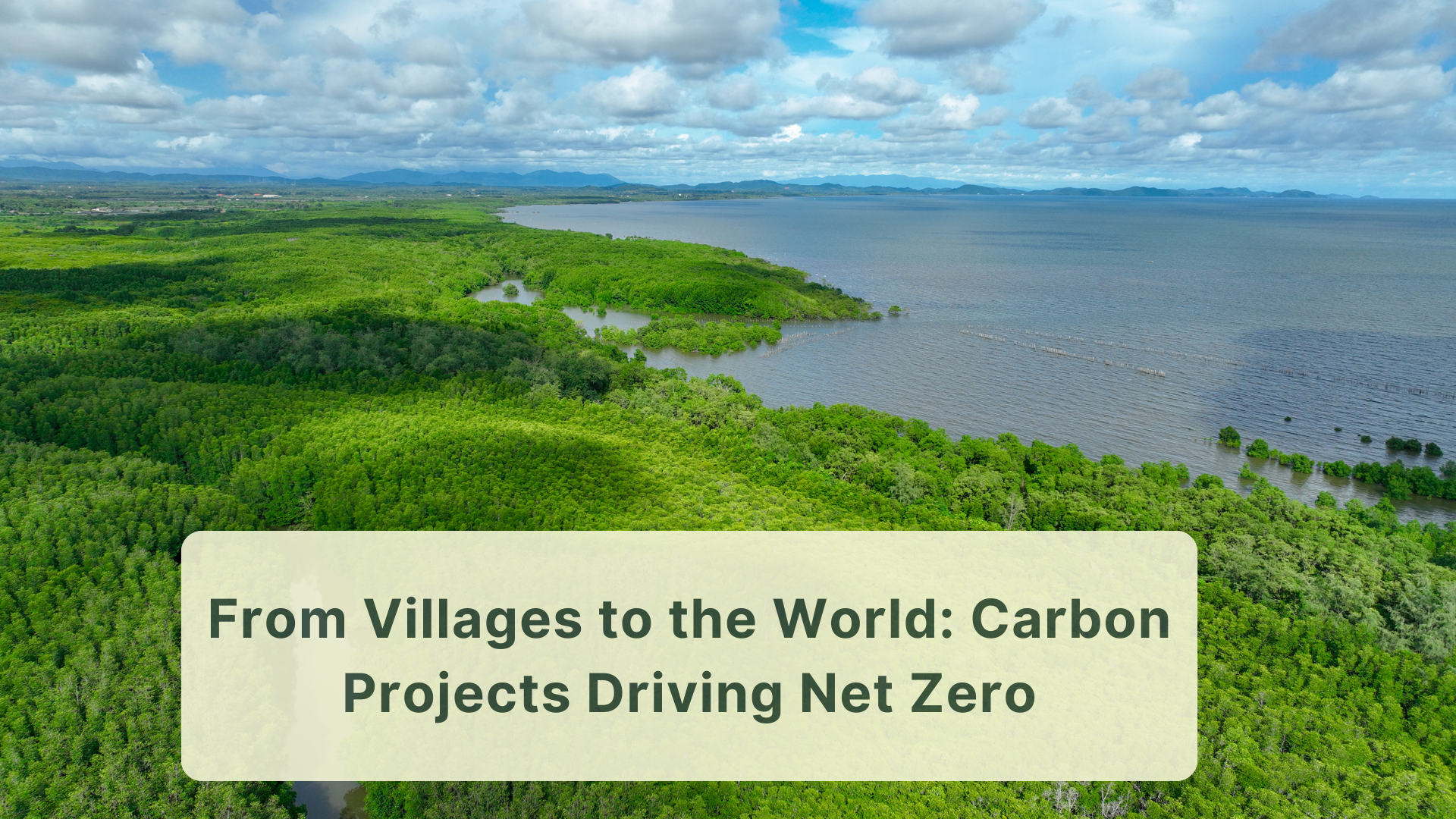From Villages to the World: Carbon Projects Driving Net Zero