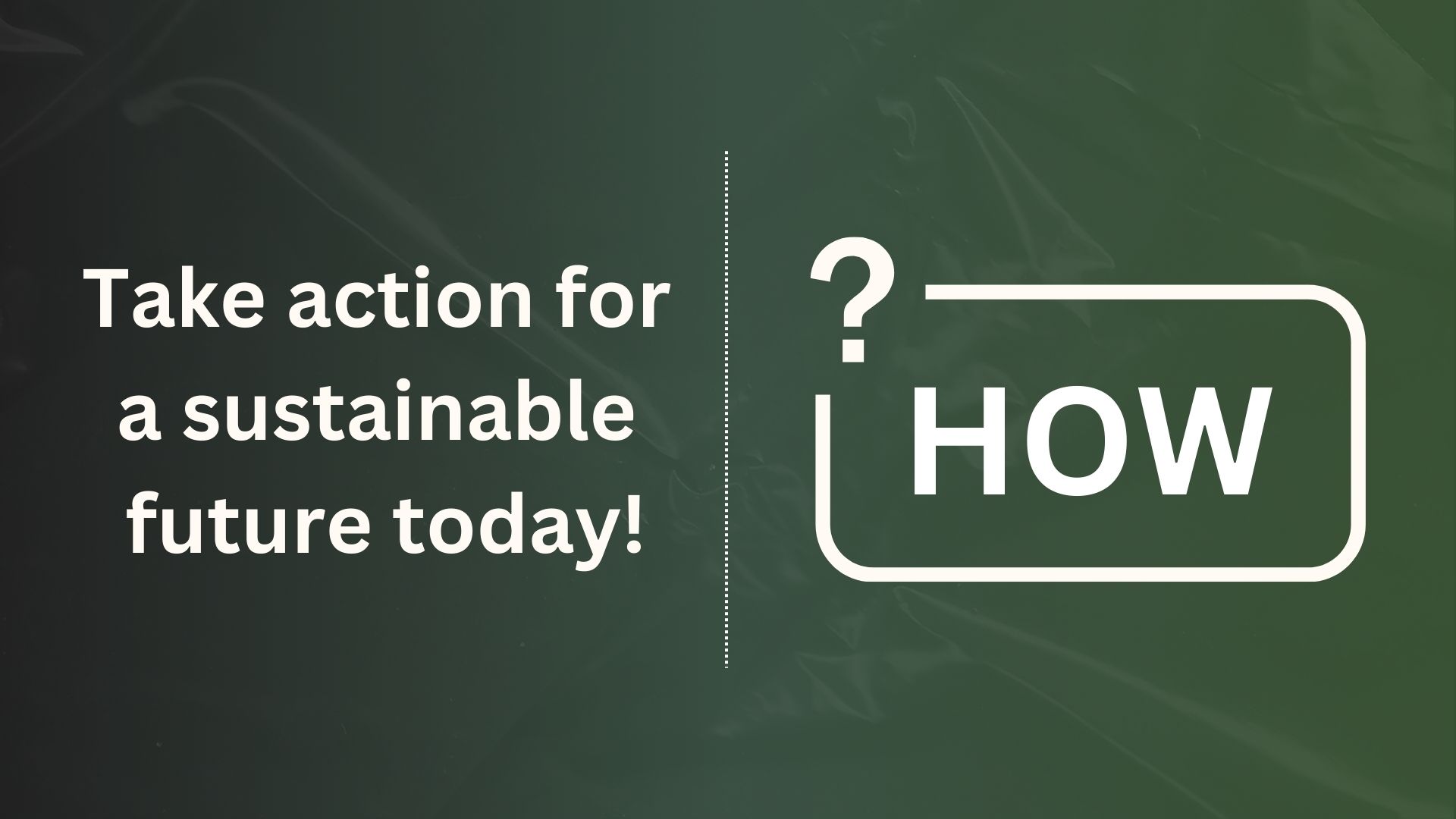 How to Offset Carbon: 8-Step Practical Guide (2024)