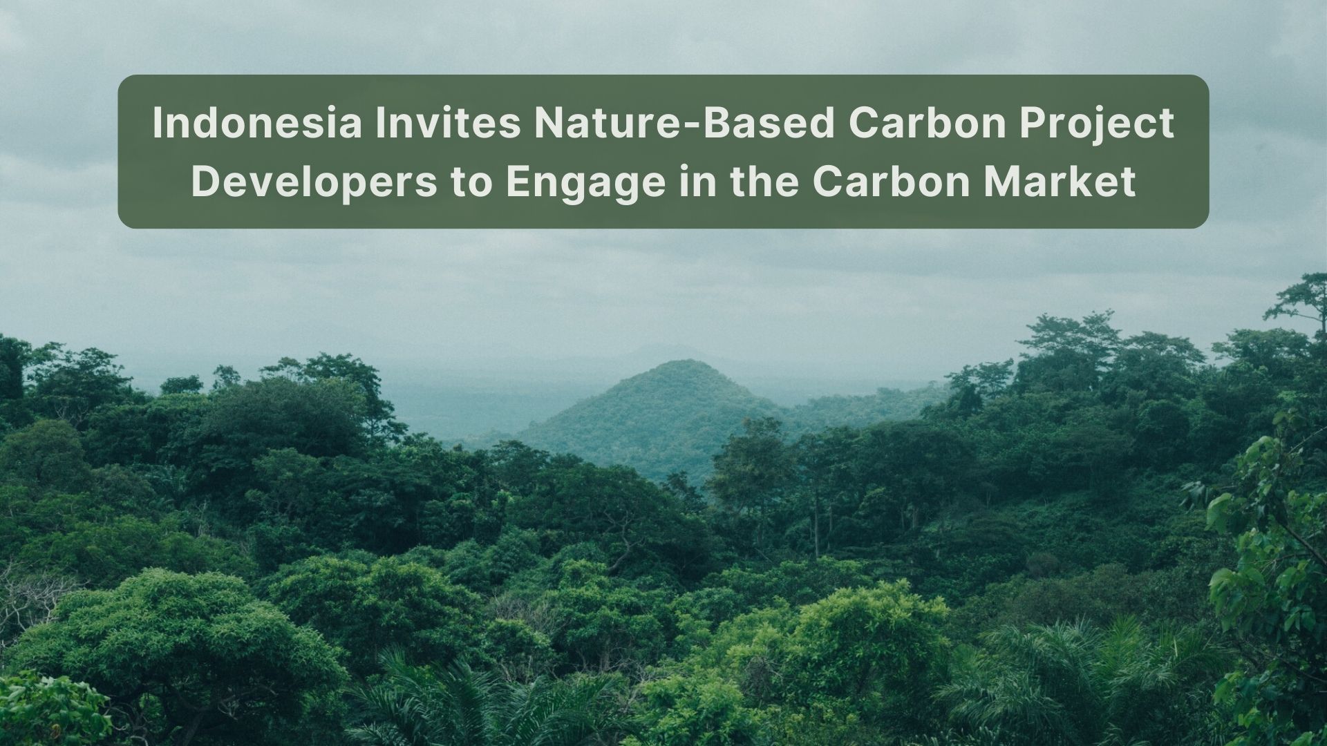 A Call for Nature-Based Carbon Solutions to Participate in Indonesia’s Carbon Market