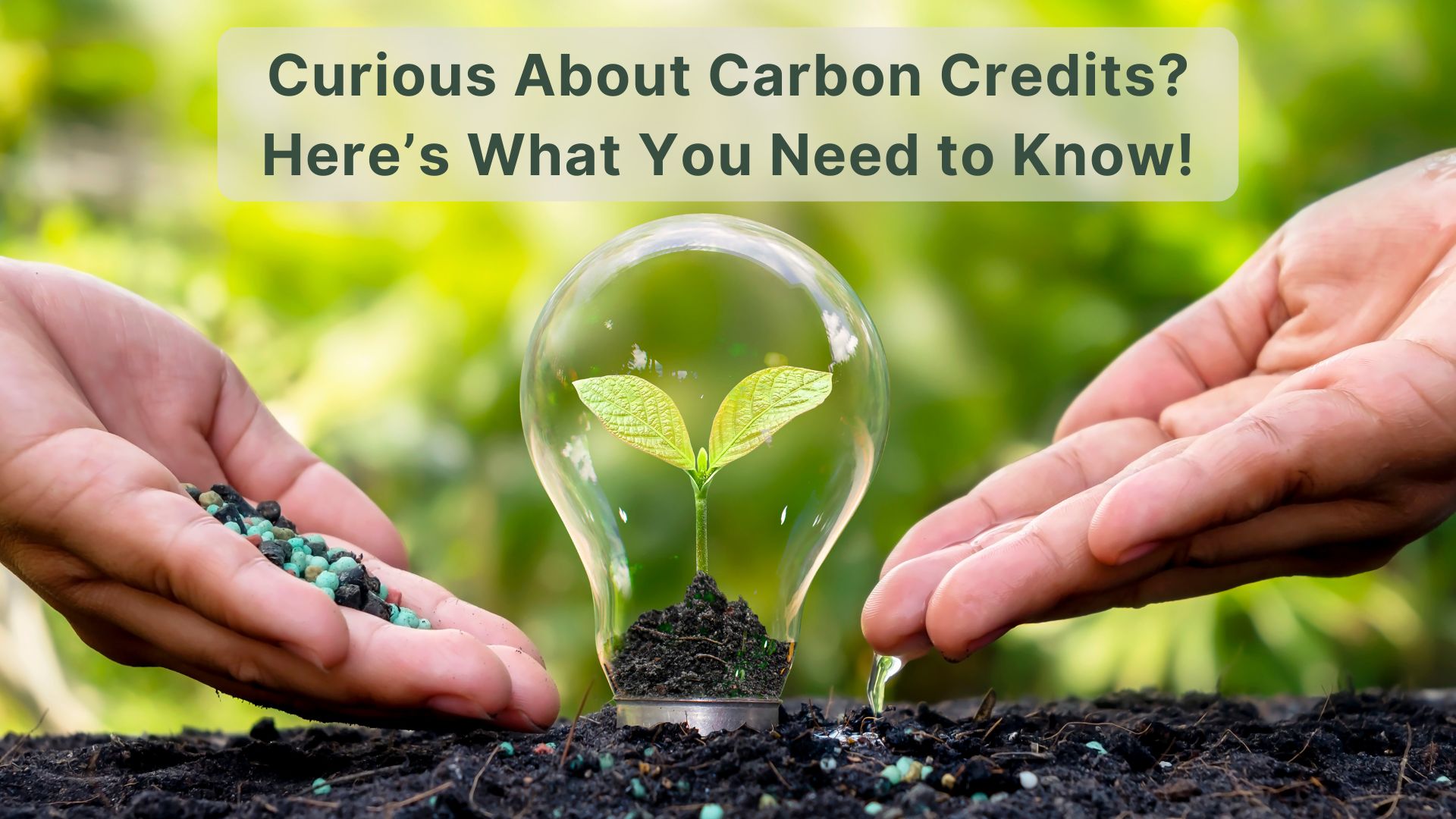 Carbon Credits Explained: Complete Beginner's Guide