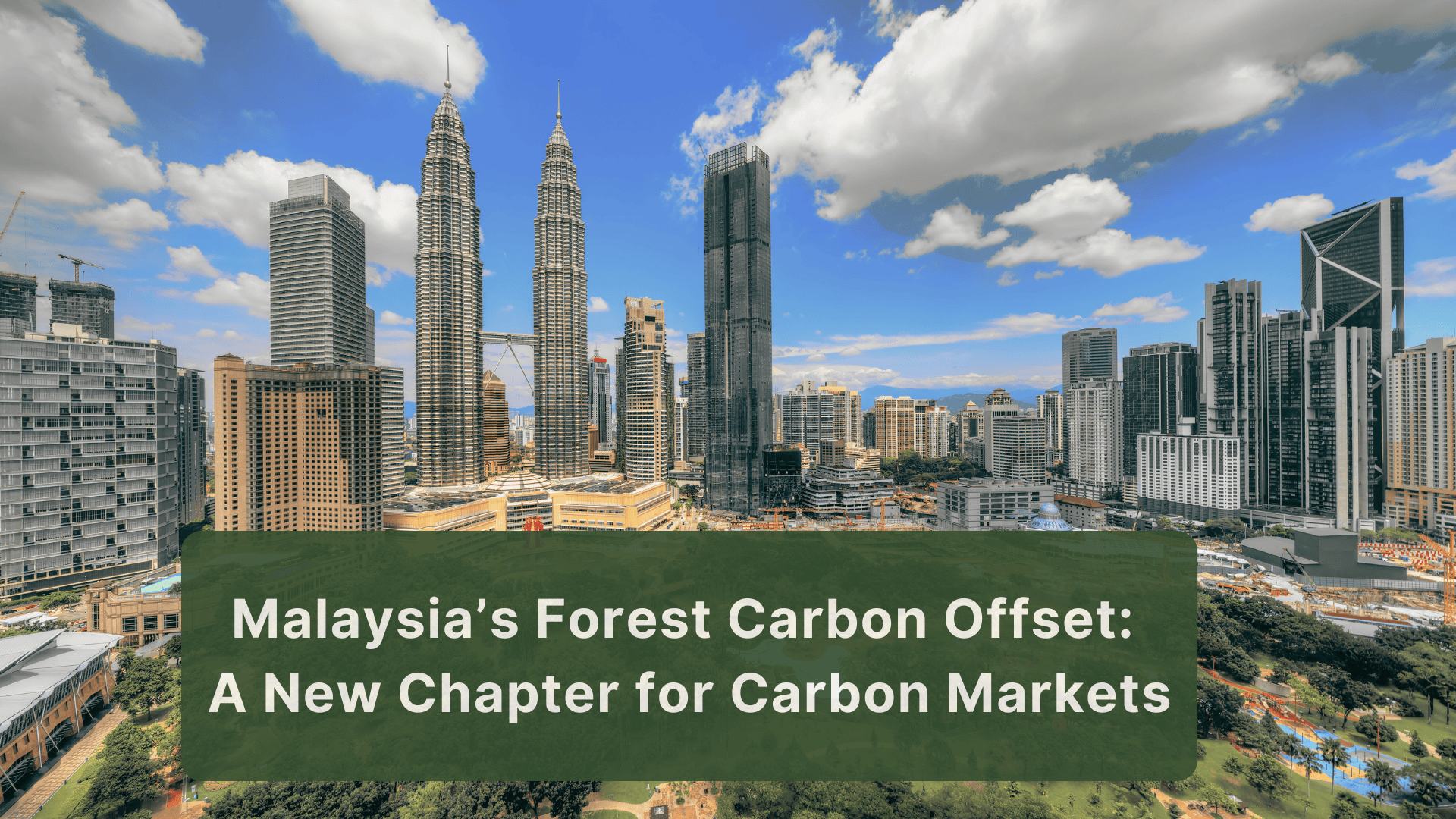 Malaysia’s Forest Carbon Offset: A New Chapter for Carbon Markets