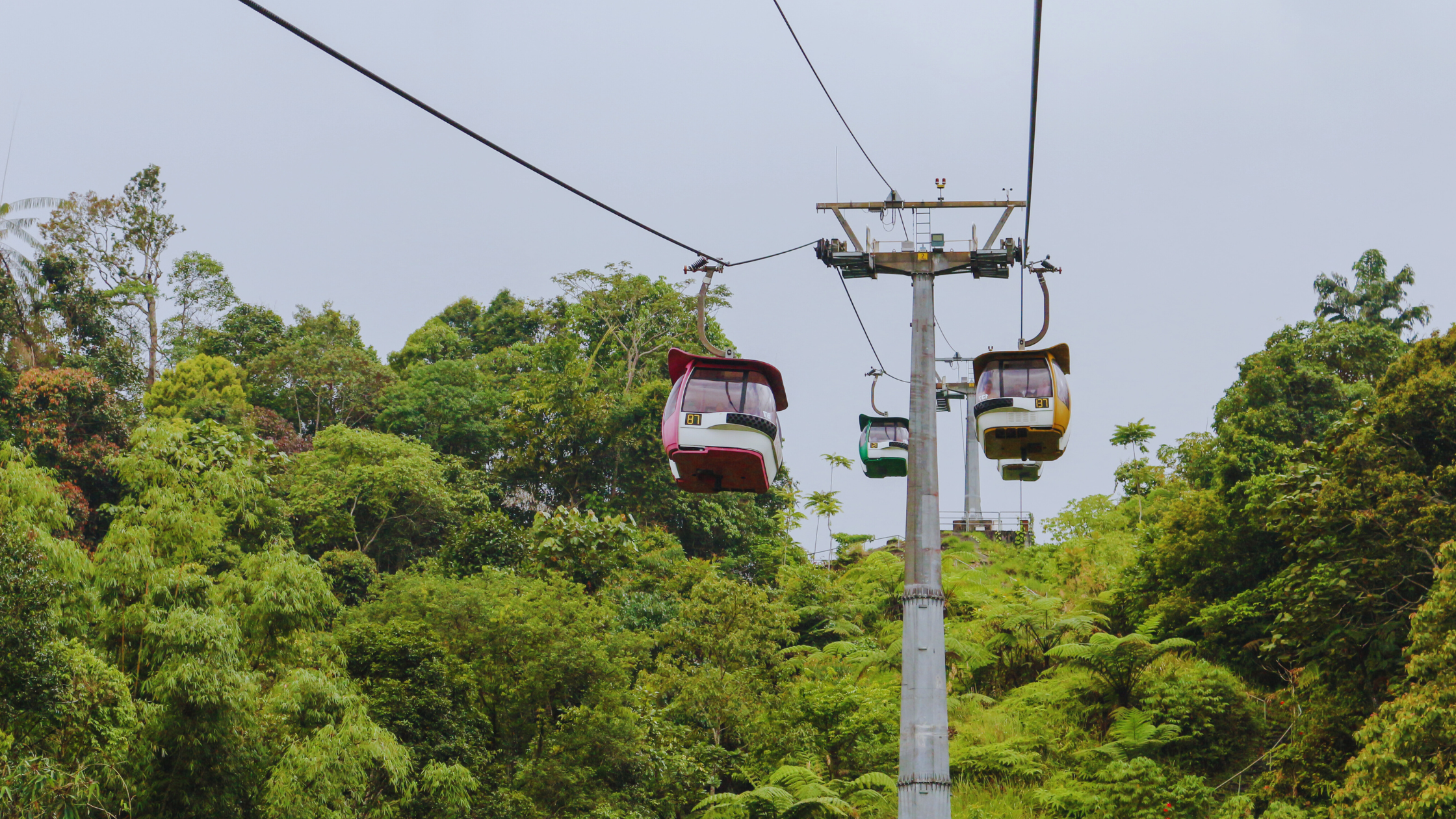 Sustainable Malaysia: Initiatives for Land Conservation and Environmental Health