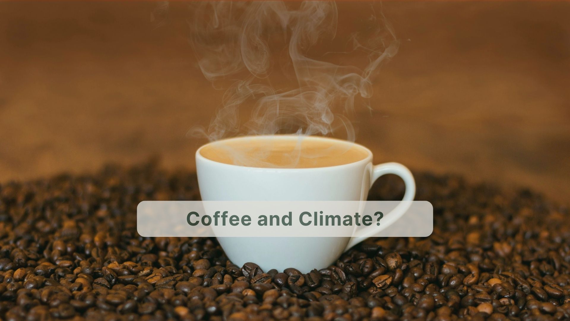 Coffee and Climate Change