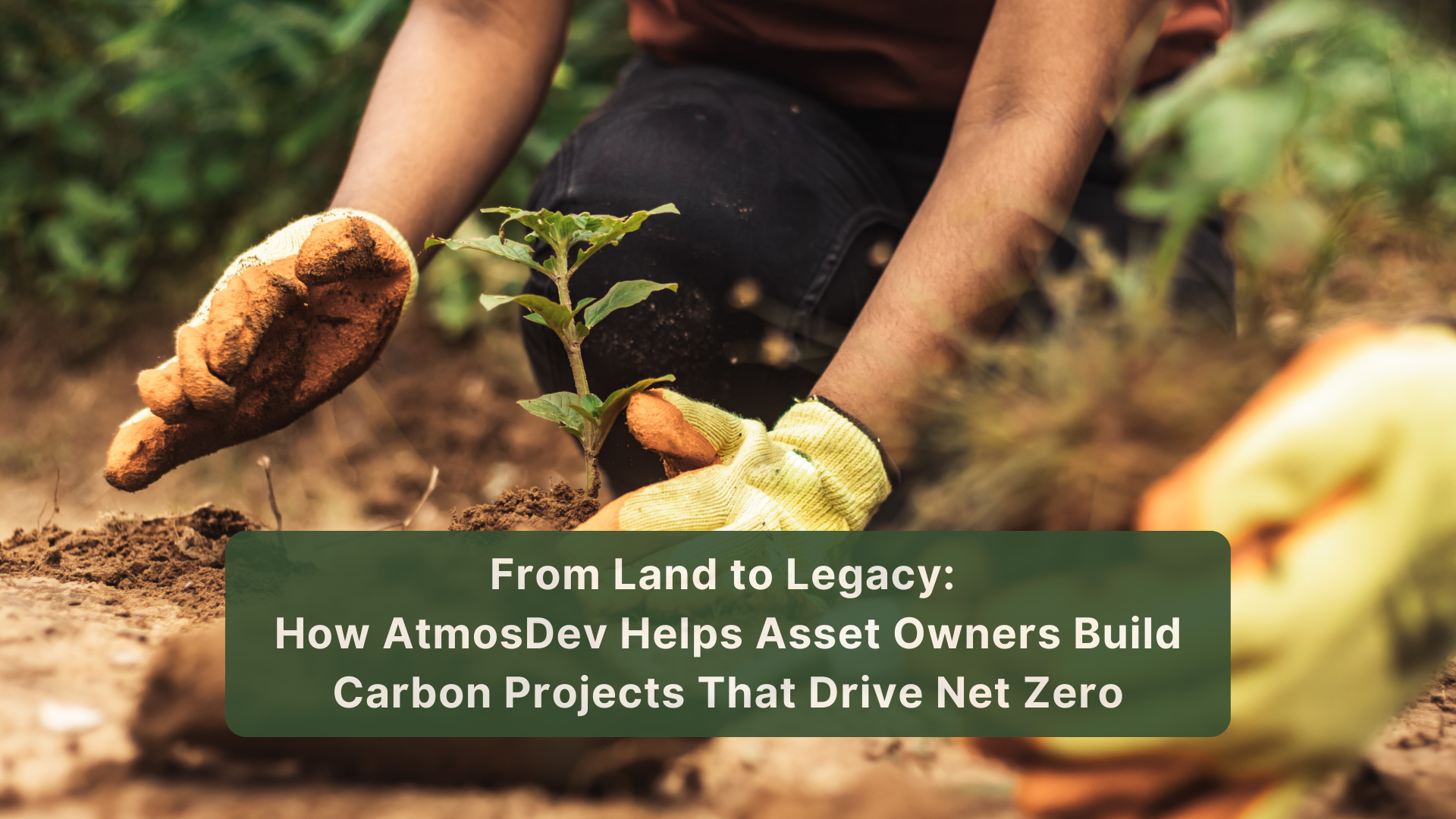 From Land to Legacy: How AtmosDev Helps Asset Owners Build Carbon Projects That Drive Net Zero